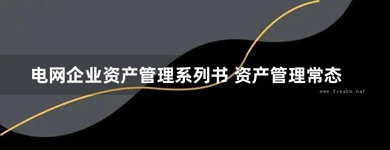 电网企业资产管理系列书 资产管理常态工作实施导引 国网浙江省电力有限公司培训中心，国网浙江省电力有限公司湖州供电公司组编；金国亮；来骏，陈曦，夏星航副 (2019版)